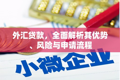 柯桥外汇贷款，全面解析其优势、风险与申请流程