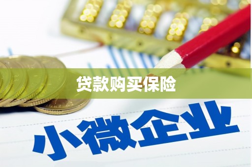 柯桥贷款购买保险