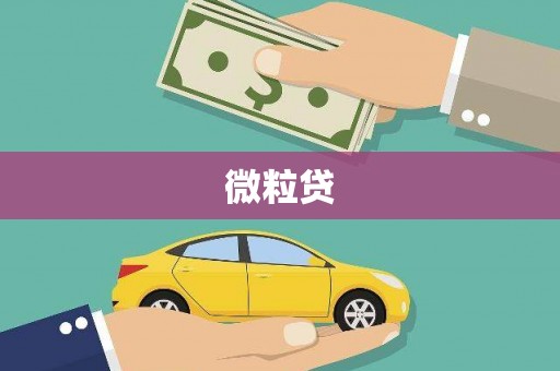 柯桥微粒贷