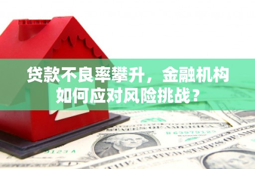 柯桥贷款不良率攀升，金融机构如何应对风险挑战？