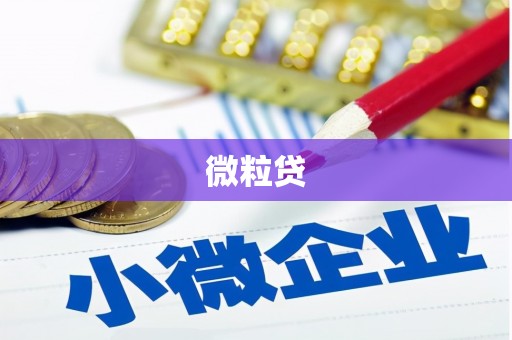 柯桥微粒贷