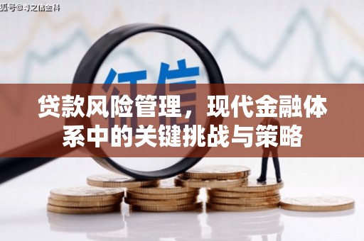 柯桥贷款风险管理，现代金融体系中的关键挑战与策略