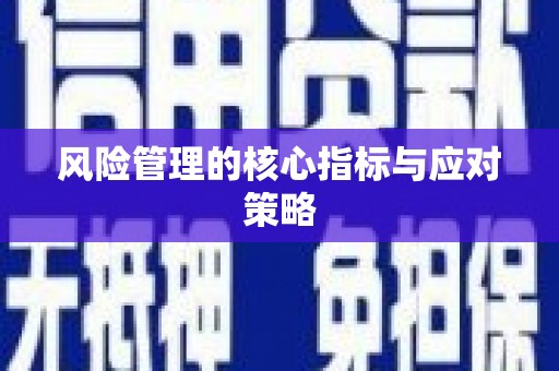 柯桥风险管理的核心指标与应对策略