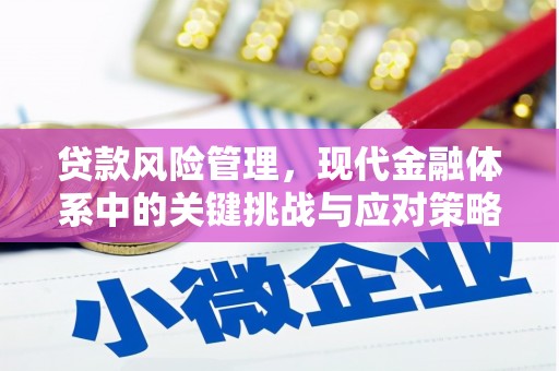 柯桥贷款风险管理，现代金融体系中的关键挑战与应对策略