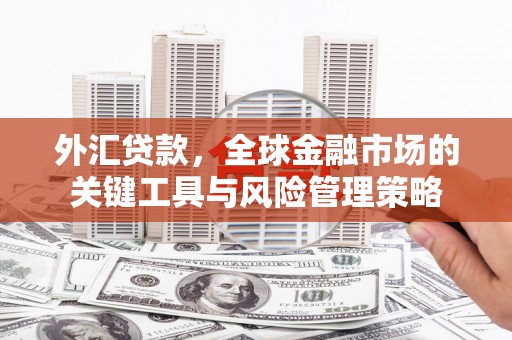 柯桥外汇贷款，全球金融市场的关键工具与风险管理策略