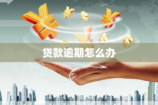 柯桥贷款逾期怎么办