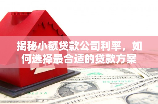 柯桥揭秘小额贷款公司利率，如何选择最合适的贷款方案