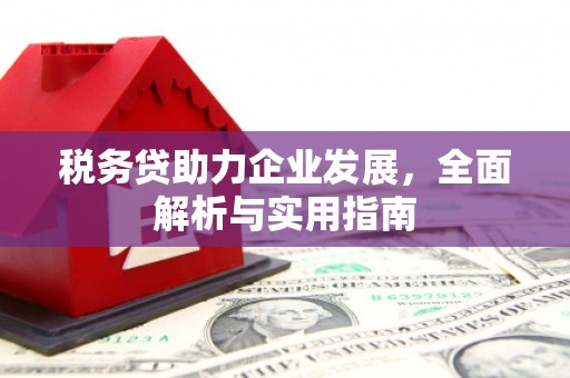 柯桥税务贷助力企业发展，全面解析与实用指南