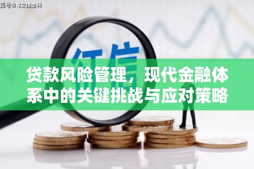 柯桥贷款风险管理，现代金融体系中的关键挑战与应对策略