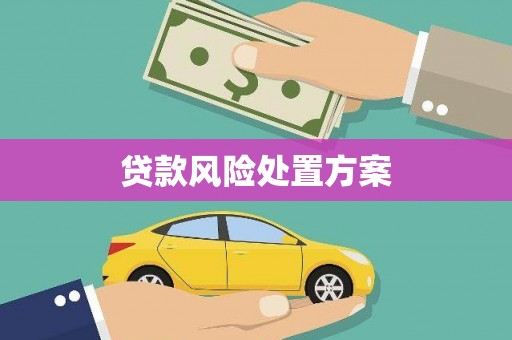 柯桥贷款风险处置方案