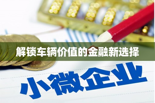 柯桥解锁车辆价值的金融新选择