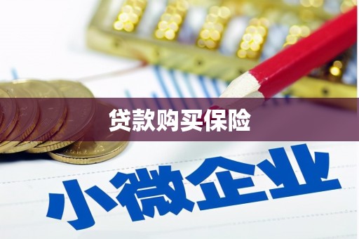柯桥贷款购买保险